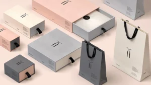 Nicely designed boxes and bags for TWICE brand